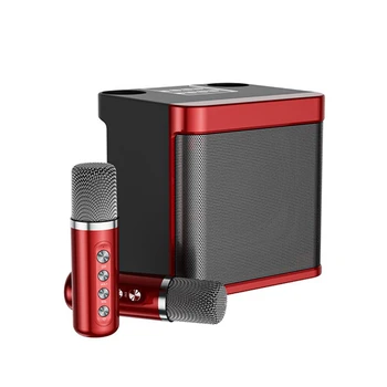MOOL Družino K Pesem Bluetooth Set Zvočnikov za Petje Karaoke Bluetooth Audio (zvok Bluetooth Vsi-V-1 Brezžični Mikrofon, Zvok