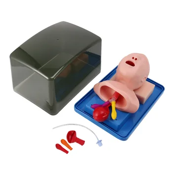 Novorojenčku Tracheal Intubacijo Model Analogni Dvojno Pljuč in Želodca Širitev Otrok Tracheal Intubacijo Usposabljanje Model